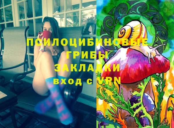 молекула духа Белоозёрский