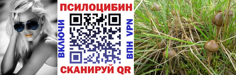 магазин  наркотиков  гидра ONION  Псилоцибиновые грибы мицелий  Бутурлиновка 